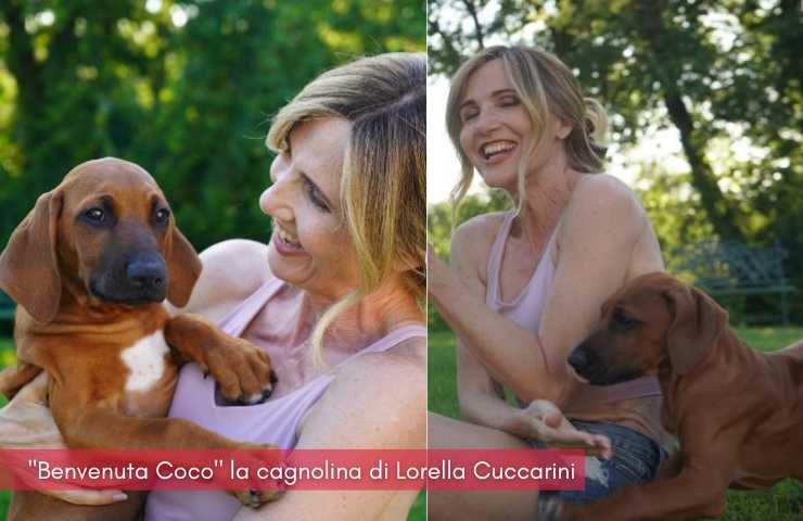 lorella cuccarini cane coco