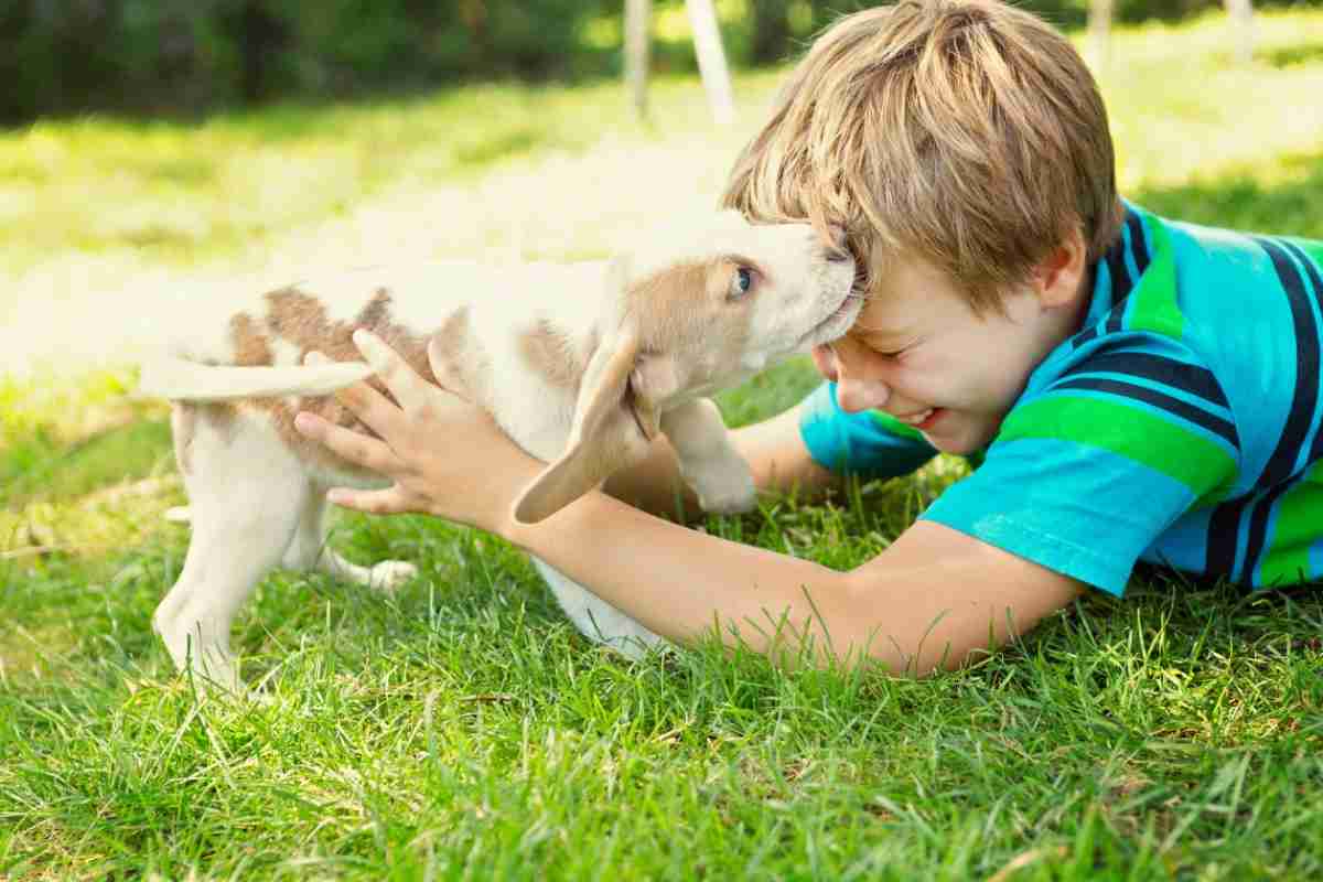 convivenza bambini e animali