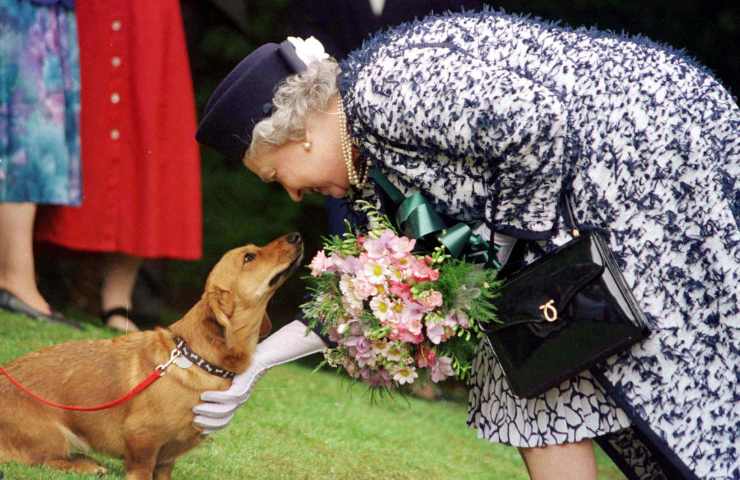 dove sono i cani della regina elisabetta II