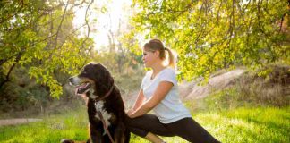 Pet fitness