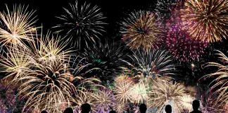 fuochi d'artificio animali danni gravi permanenti