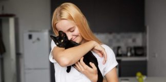 Sognare un gatto nero significato