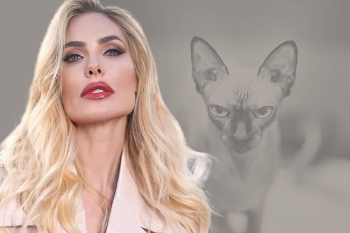 ilary blasi chi è la sua gatta donna paola