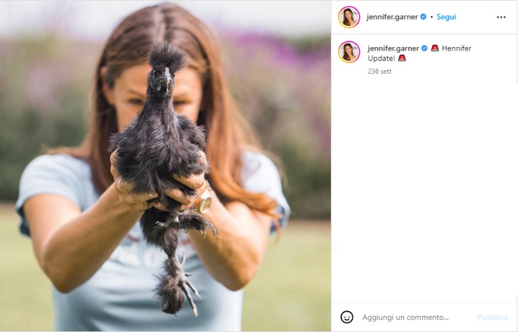 jennifer garner galline animali domestici