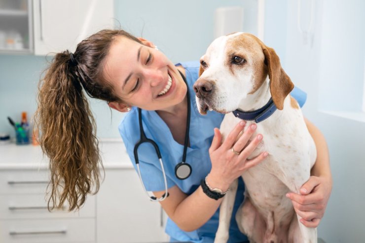 La leishmaniosi è una malattia che colpisce i cani e gli umani