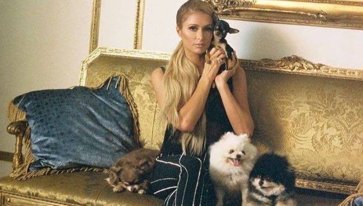 paris hilton la foto con i suoi cagnolini