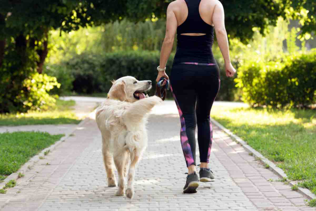 Passeggiata con il cane caldo salute