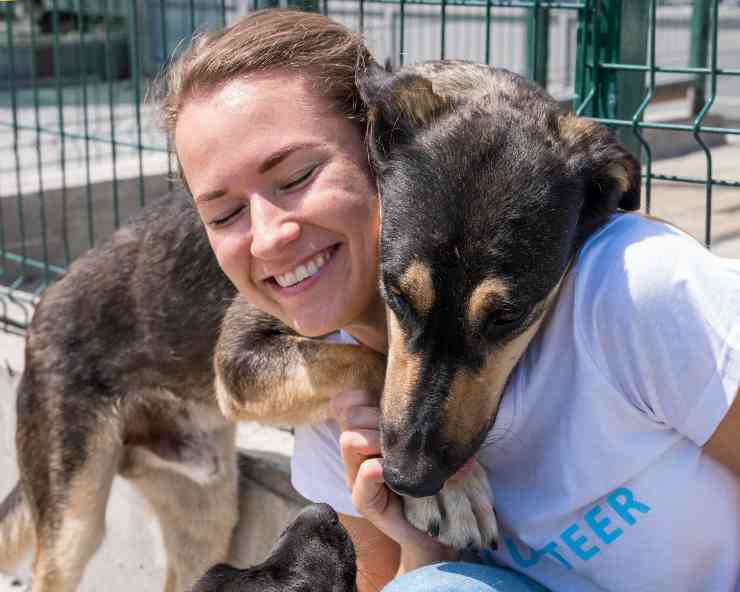 pensioni per cani e gatti come scegliere quella migliore