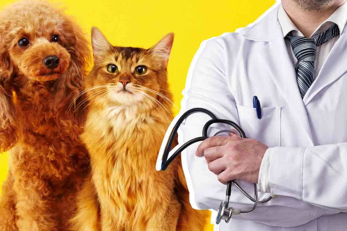 Pet therapy benefici vantaggi