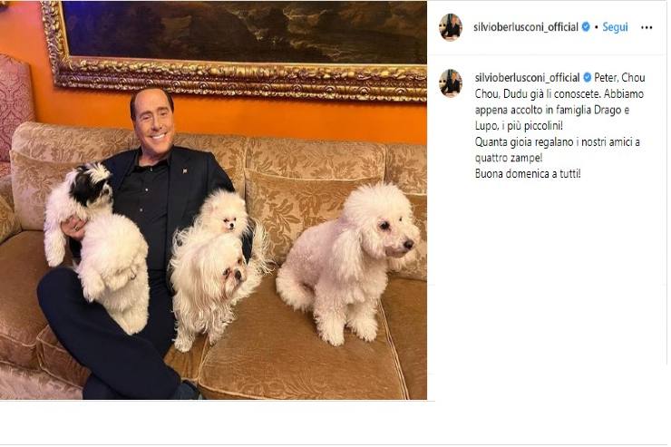 silvio berlusconi chi sono i suoi cani