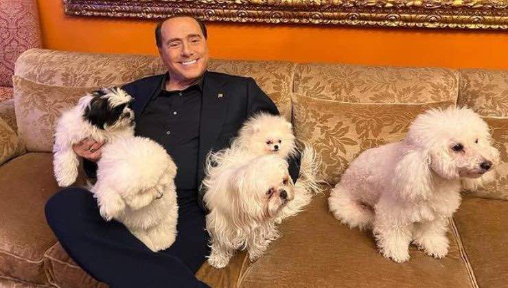 silvio berlusconi chi sono i suoi cani