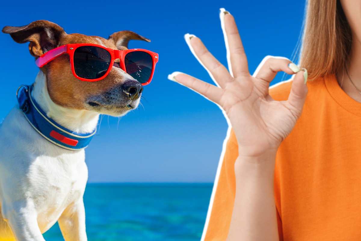 Vacanza cane spiaggia dog friendly