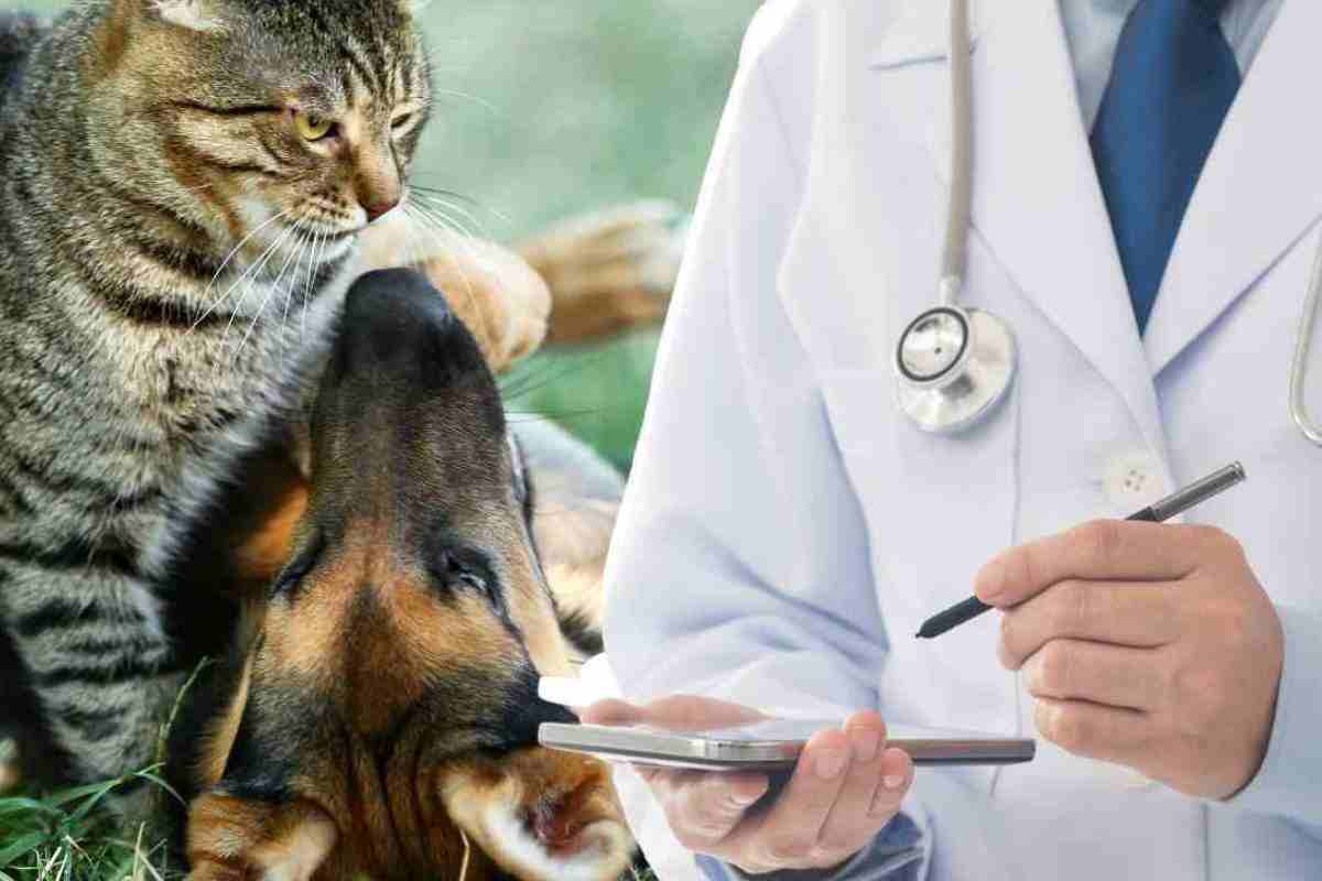 viisite veterinarie gratis chi ne ha diritto