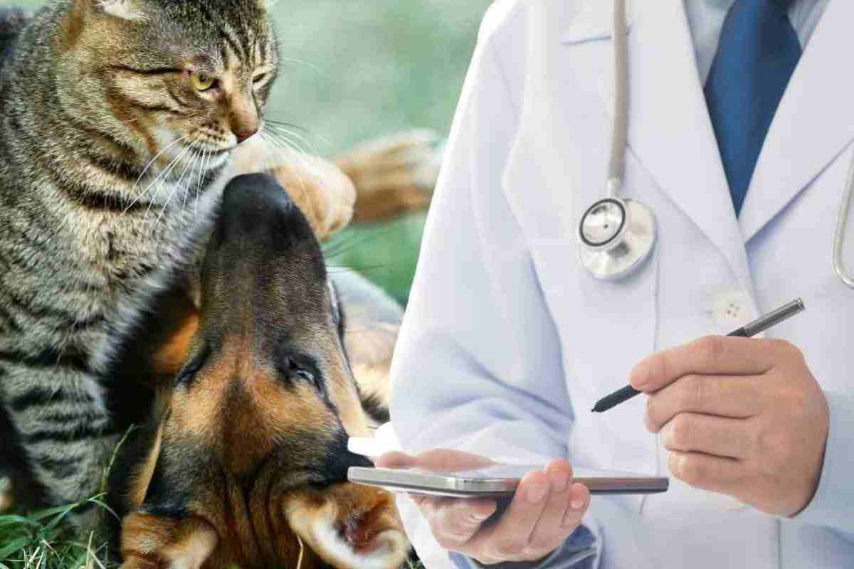 viisite veterinarie gratis chi ne ha diritto 