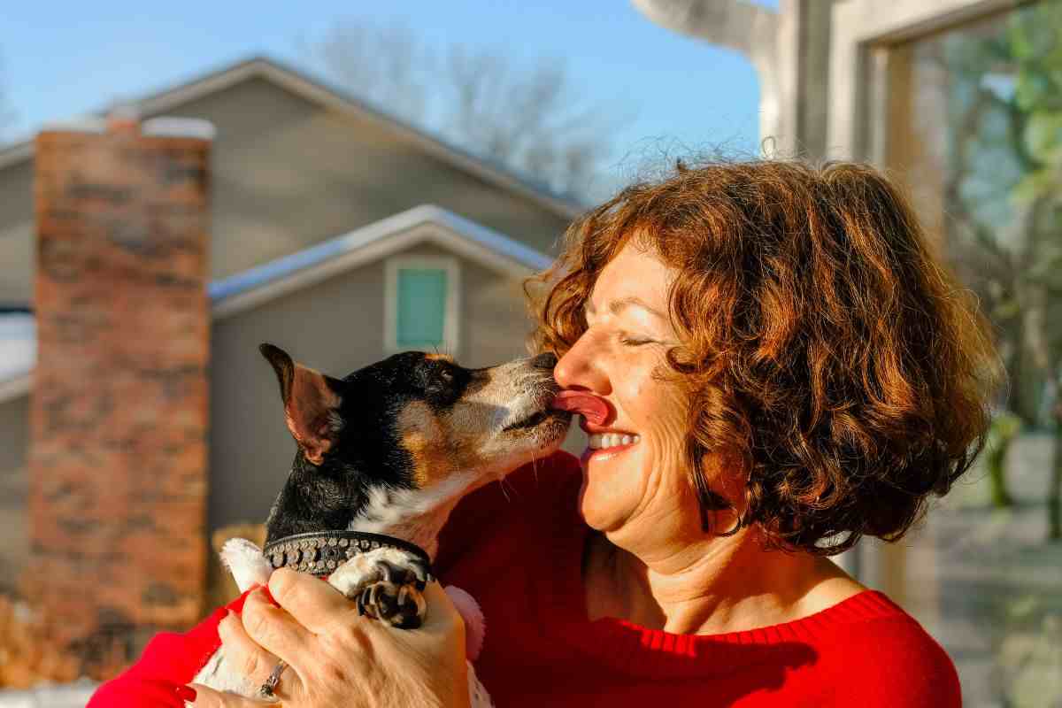 cane con crisi epilettiche adottato guarisce video