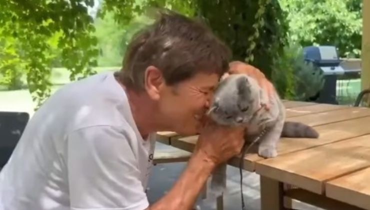 Gianni Morandi e il gatto Lucio disperso