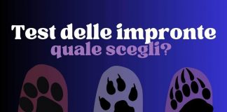 Test della zampa scopri chi sei davvero