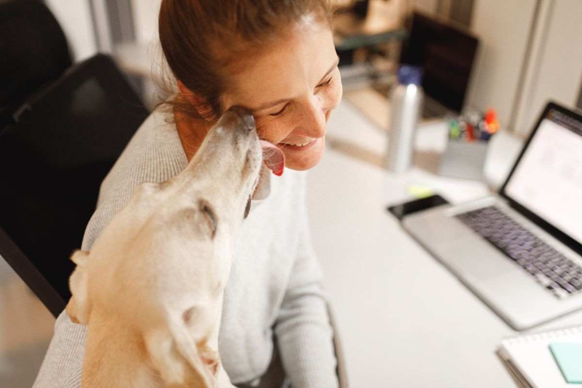 Baciare il cane sulla bocca