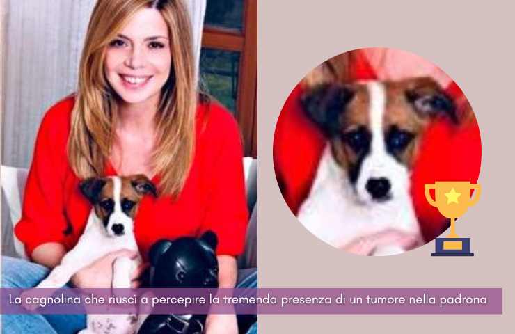 cane scopre tumore storia benedicta boccoli