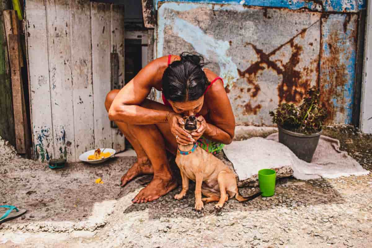 cagnolina abbandonato con i cuccioli gesto signora video