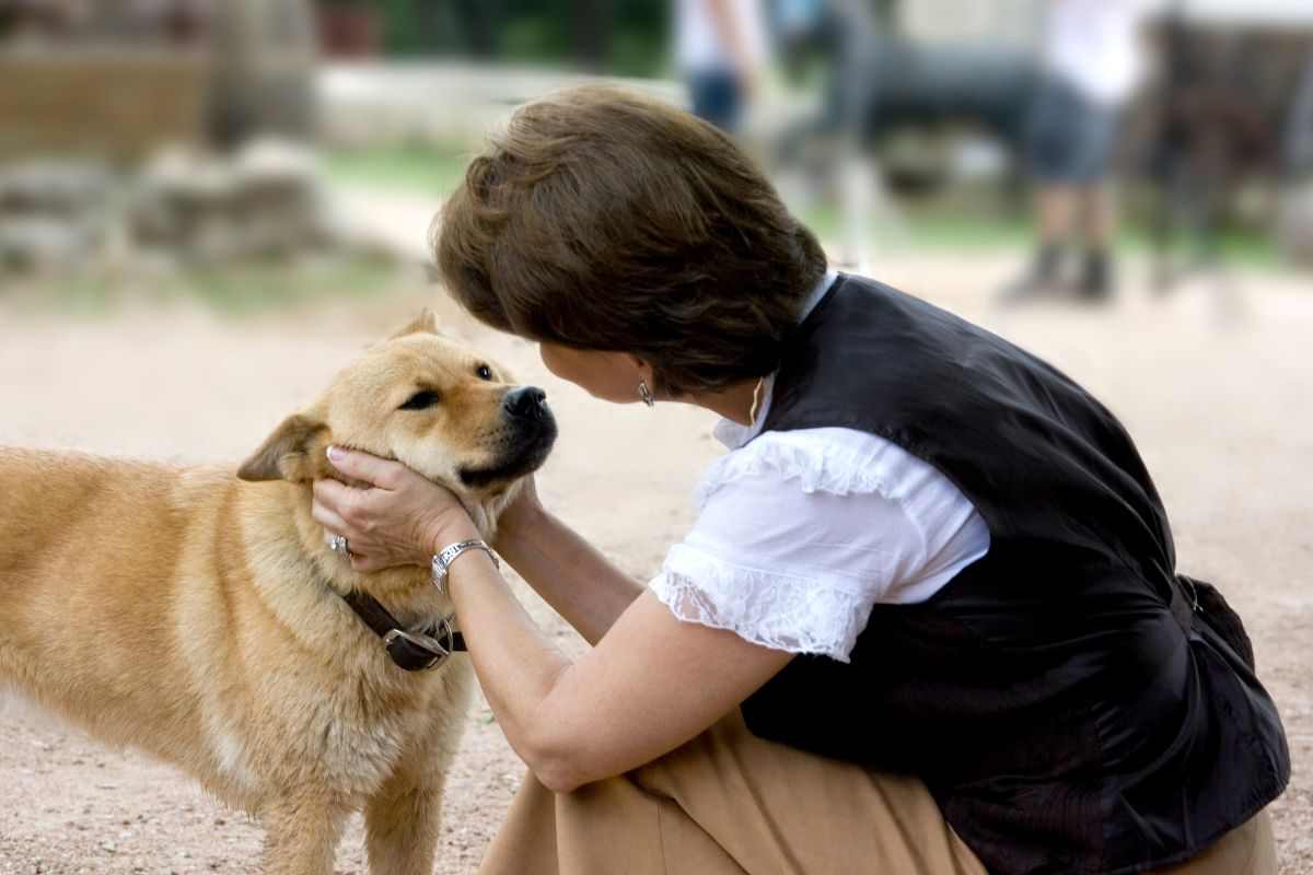 cane dice mamma alla padrona