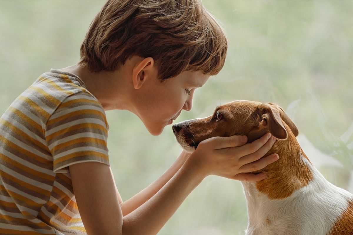 cane e bambino rapporto