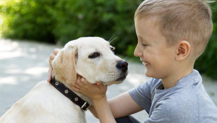 Reazione cane bambino sgridato