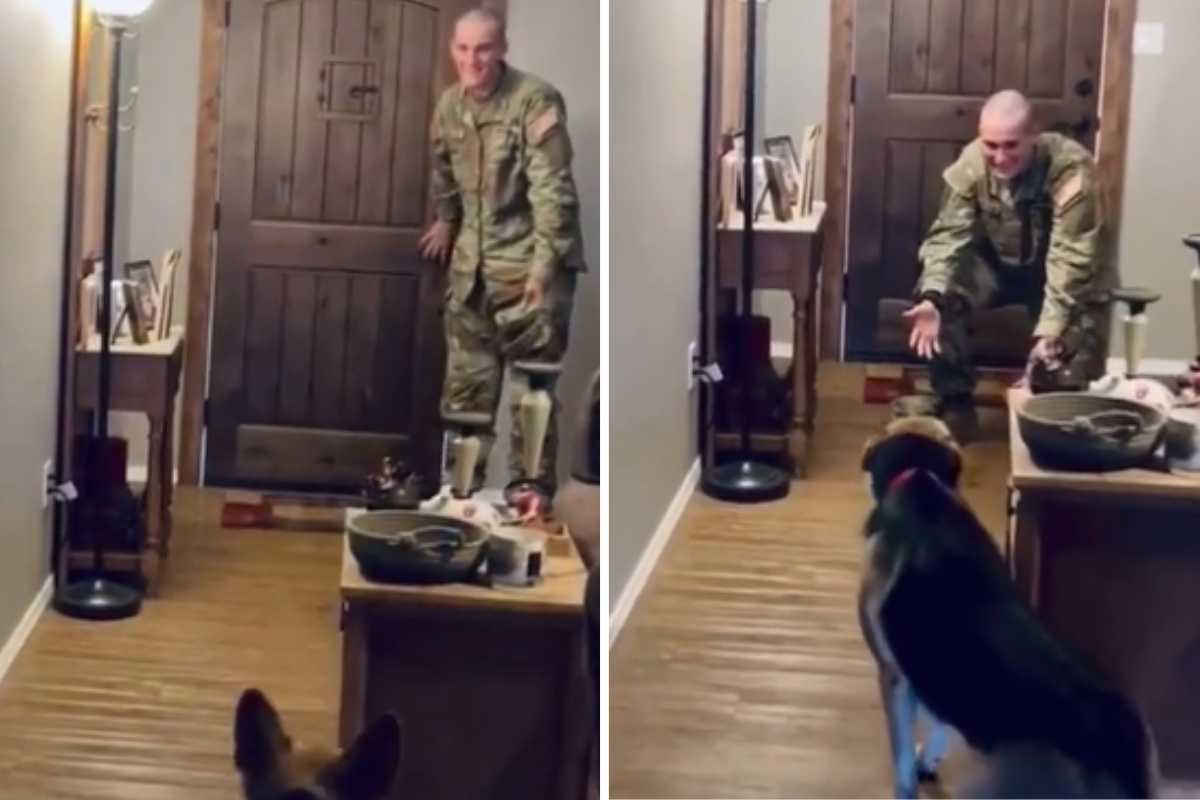 soldato torna a casa reazione cane