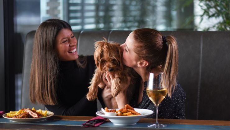 cane fuori dal ristorante reazione padrone video