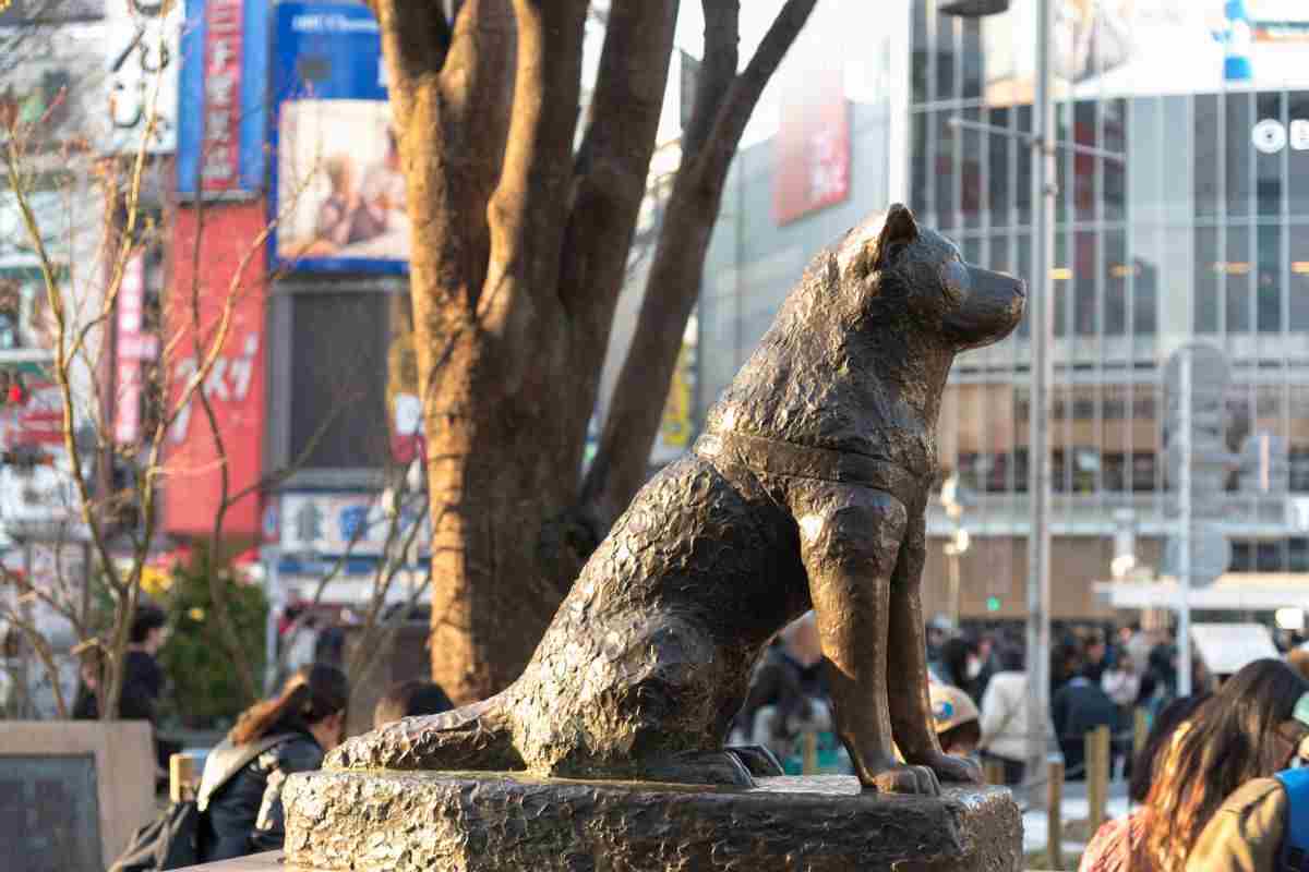 amici a quattro zampe celebri cani famosi storia