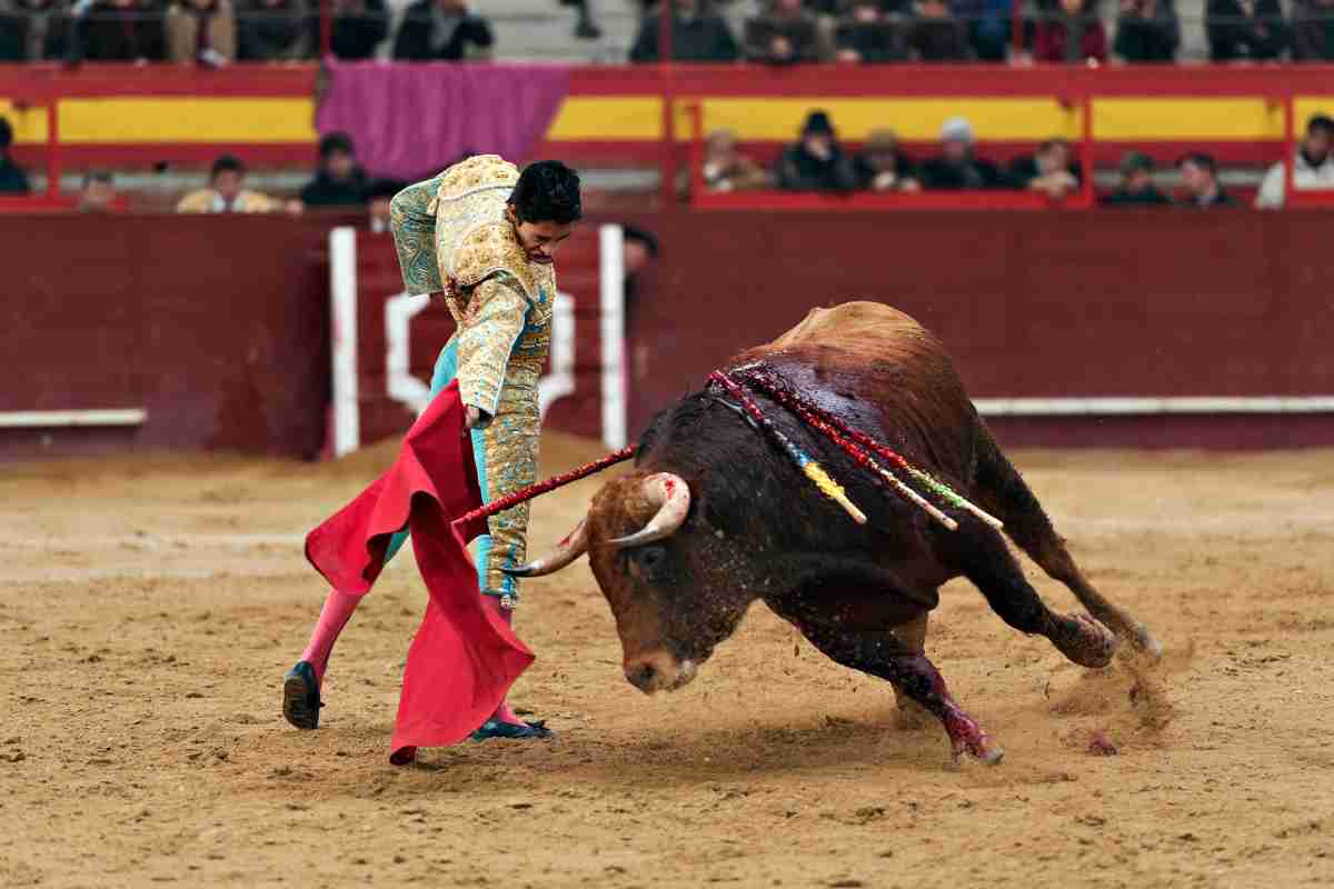 Toro reagisce alle provocazioni video