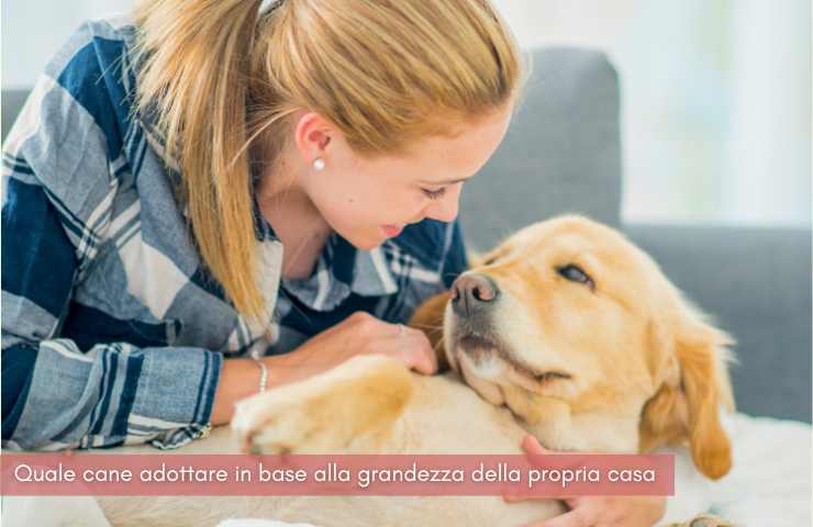 adottare cane razza casa piccola