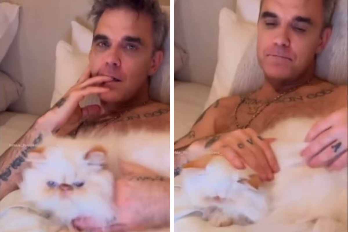 gatto robbie williams