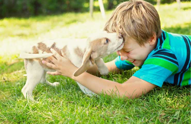 rapporto cani bambini vantaggi benefici