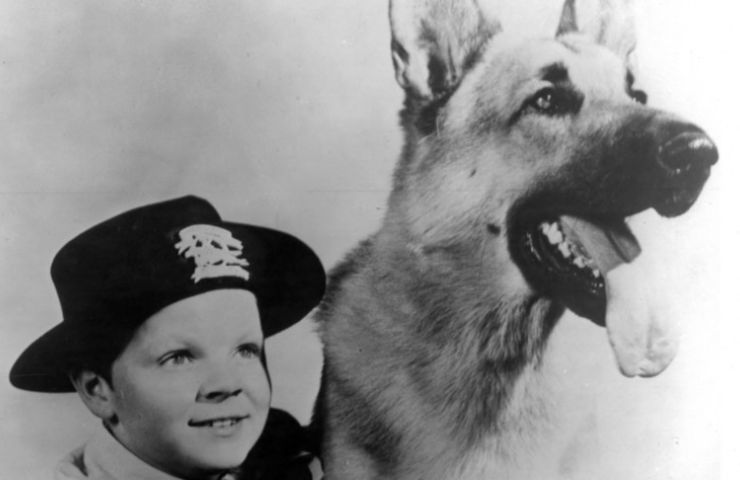 Rin Tin Tin storia