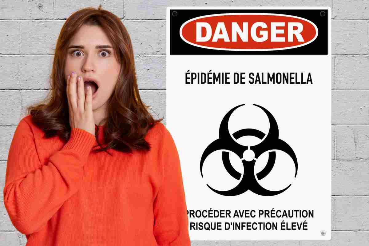 salmonella animali