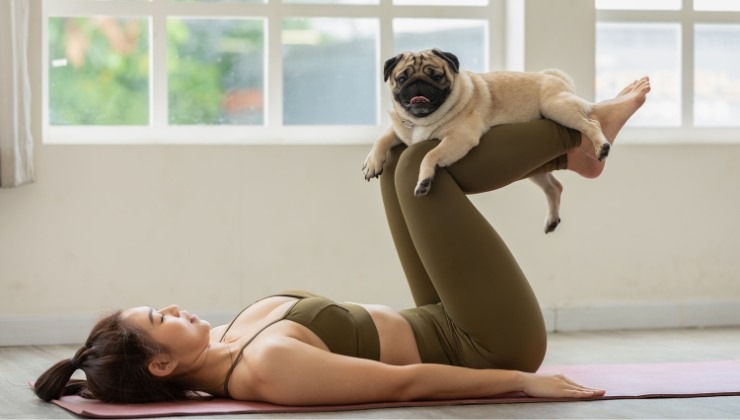 yoga con animali