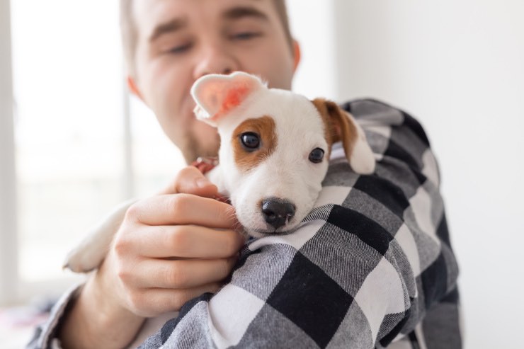 Cucciolo: le 6 tecniche sicure per metterlo a suo agio