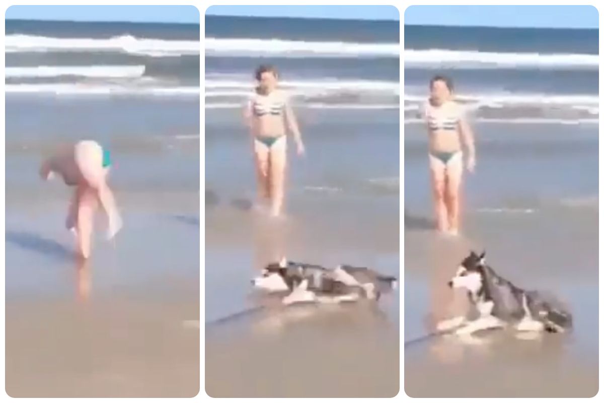 Cane e donna al mare