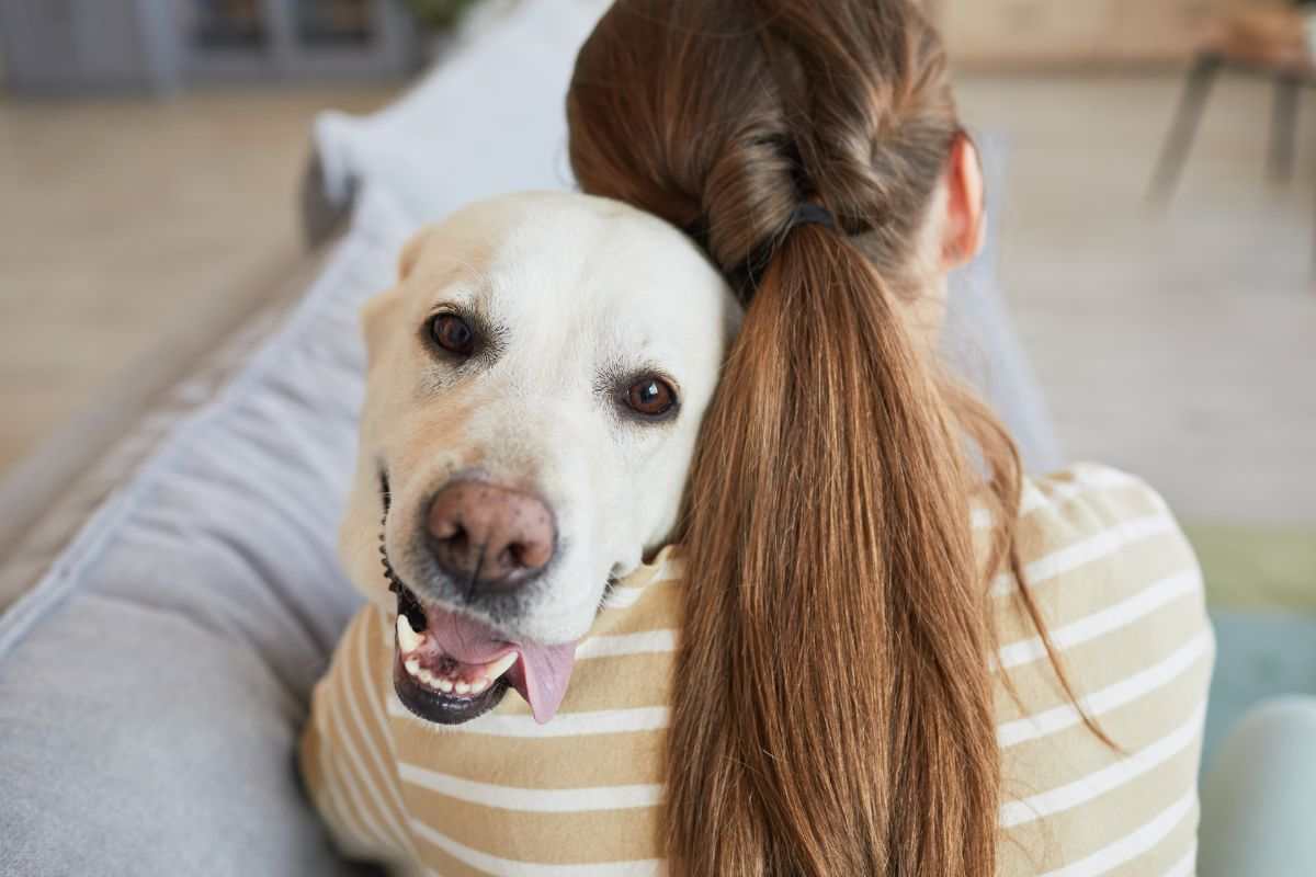 cane sente piangere il padrone video reazione