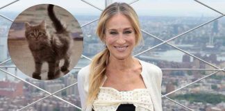 Sarah Jessica Parker gatto Lotus