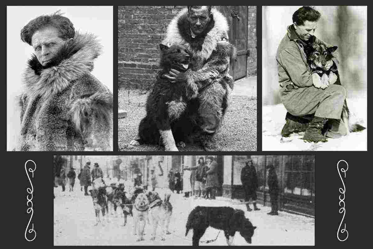 la vera storia di balto e togo
