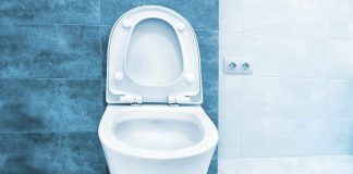 Non solo topi: tutti gli animali che escono dal water