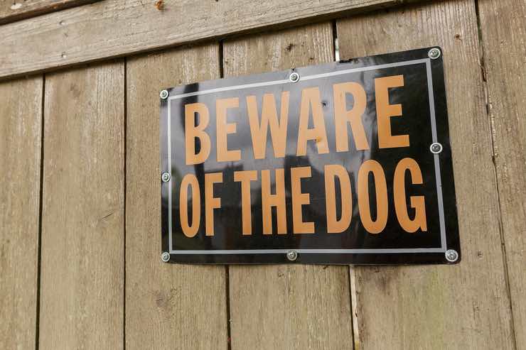Attenti al cane: è obbligatorio esporlo?