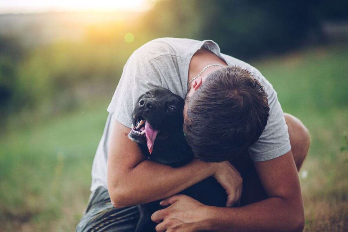 Il cane che scappava tutte le notti