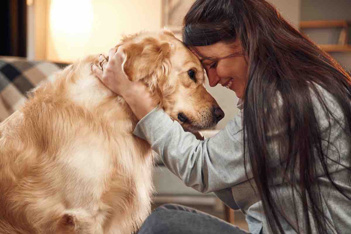 Cane: curiosità divertenti