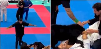 cane interrompe karate video dolce divertente