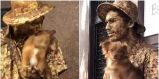 cane artista di strada video twitter