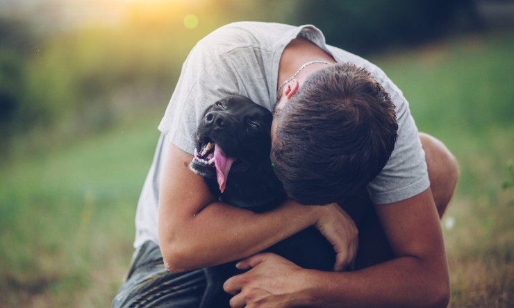 cane uomo fedele video dolce 