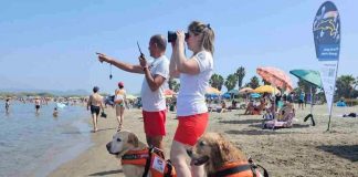 cani bagnino quante persone hanno salvato